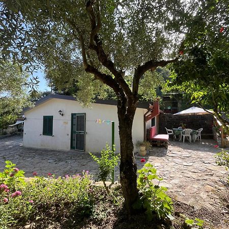 Casa Vacanze Alfano Ascea Exterior photo