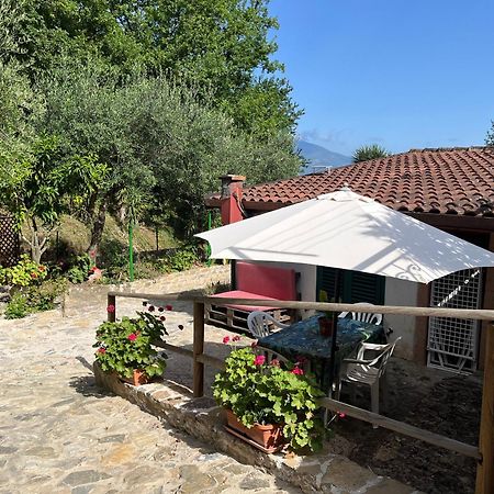 Casa Vacanze Alfano Ascea Exterior photo