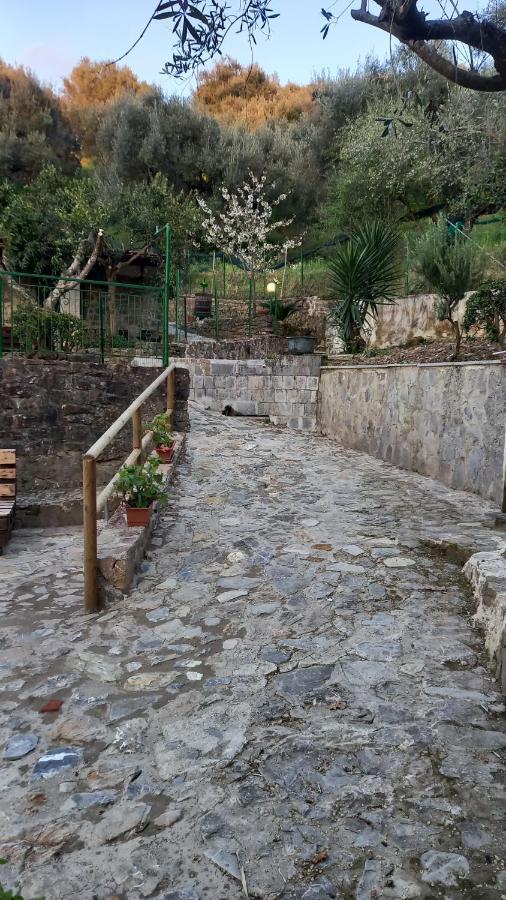 Casa Vacanze Alfano Ascea Exterior photo