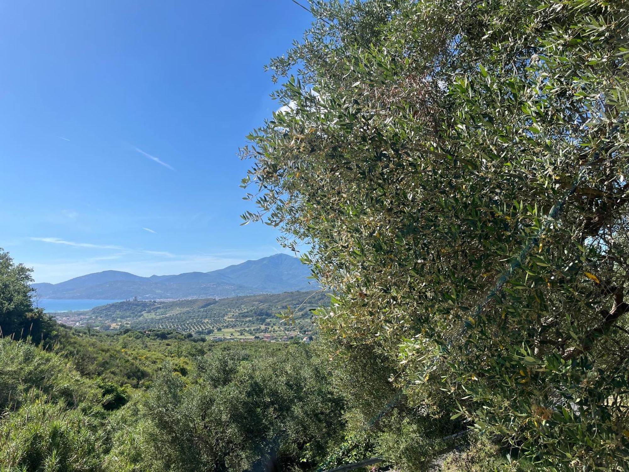 Casa Vacanze Alfano Ascea Exterior photo